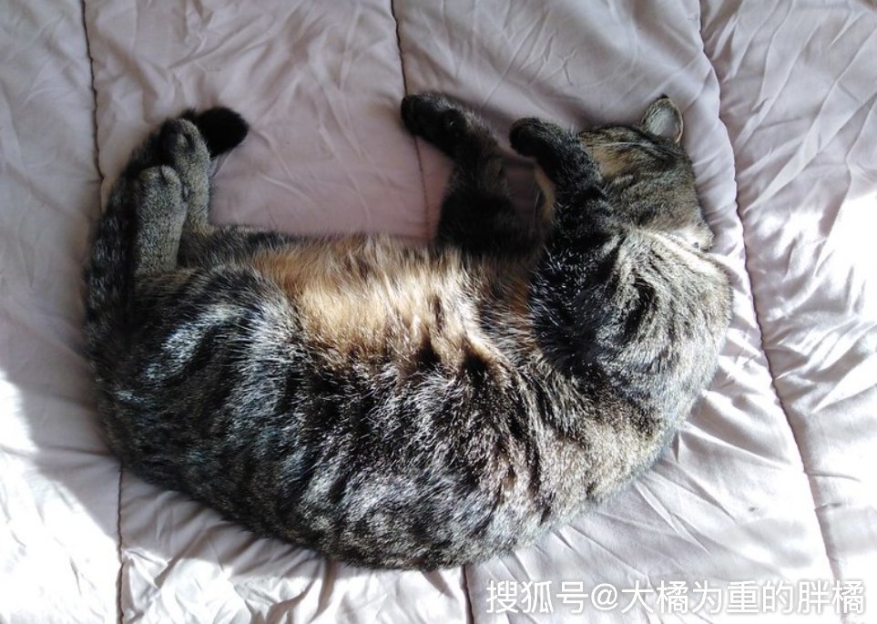 Mary Quinn tweet media