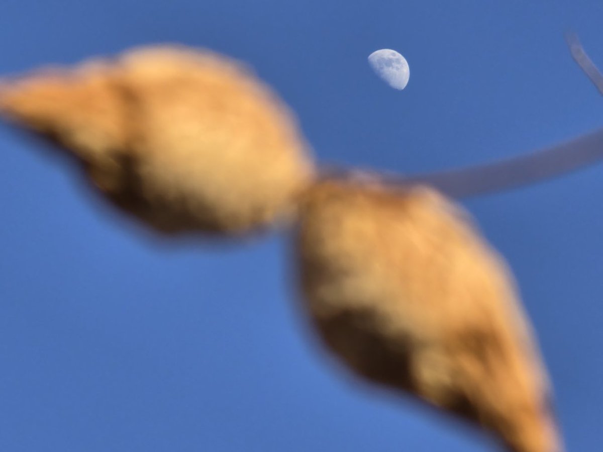 Sƙყҽ tweet media