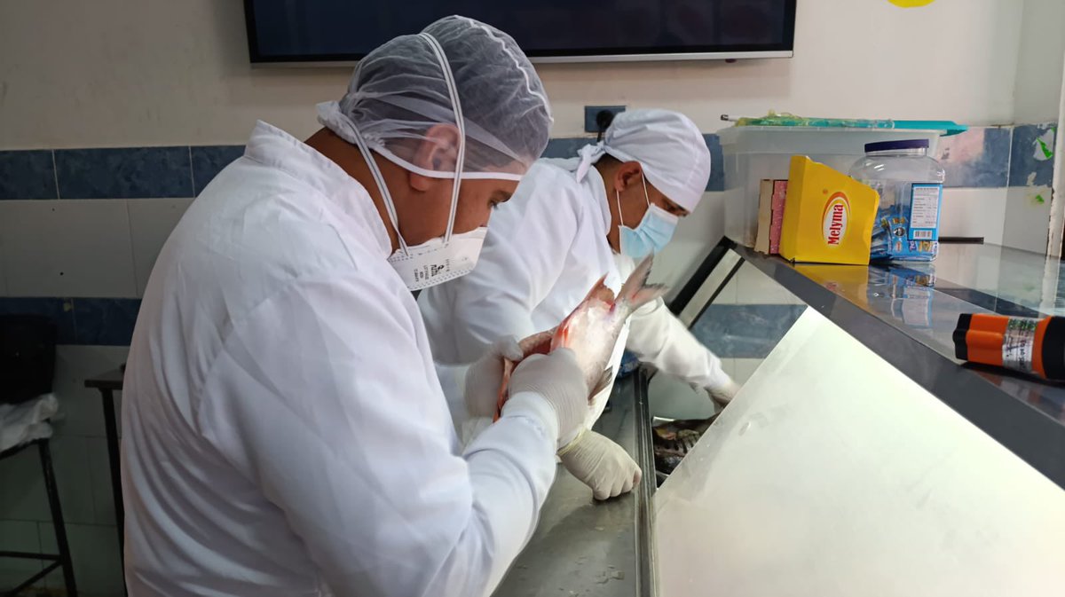 Alcaldía de Bello tweet media