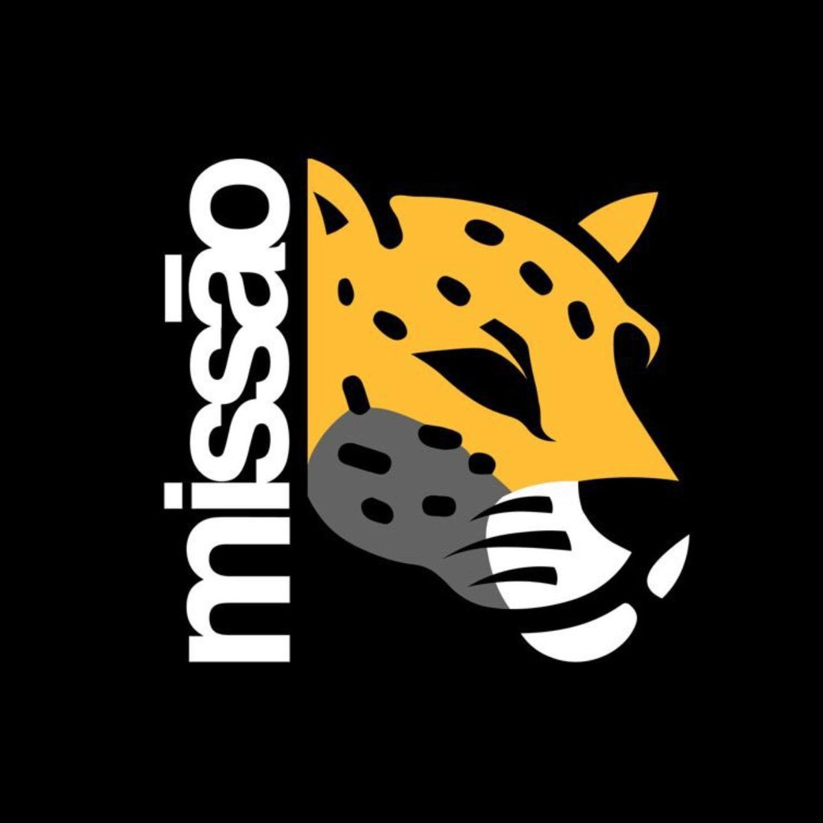 Enquetes 2026 tweet media