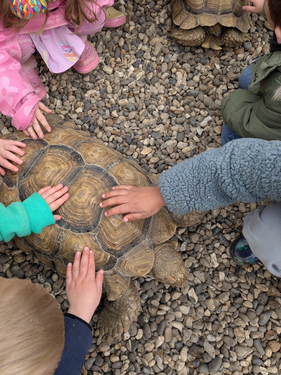 Finchingfield St John the Baptist C of E Academy tweet media