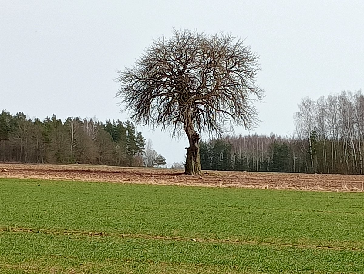 Piotrek (bo RODO) tweet media