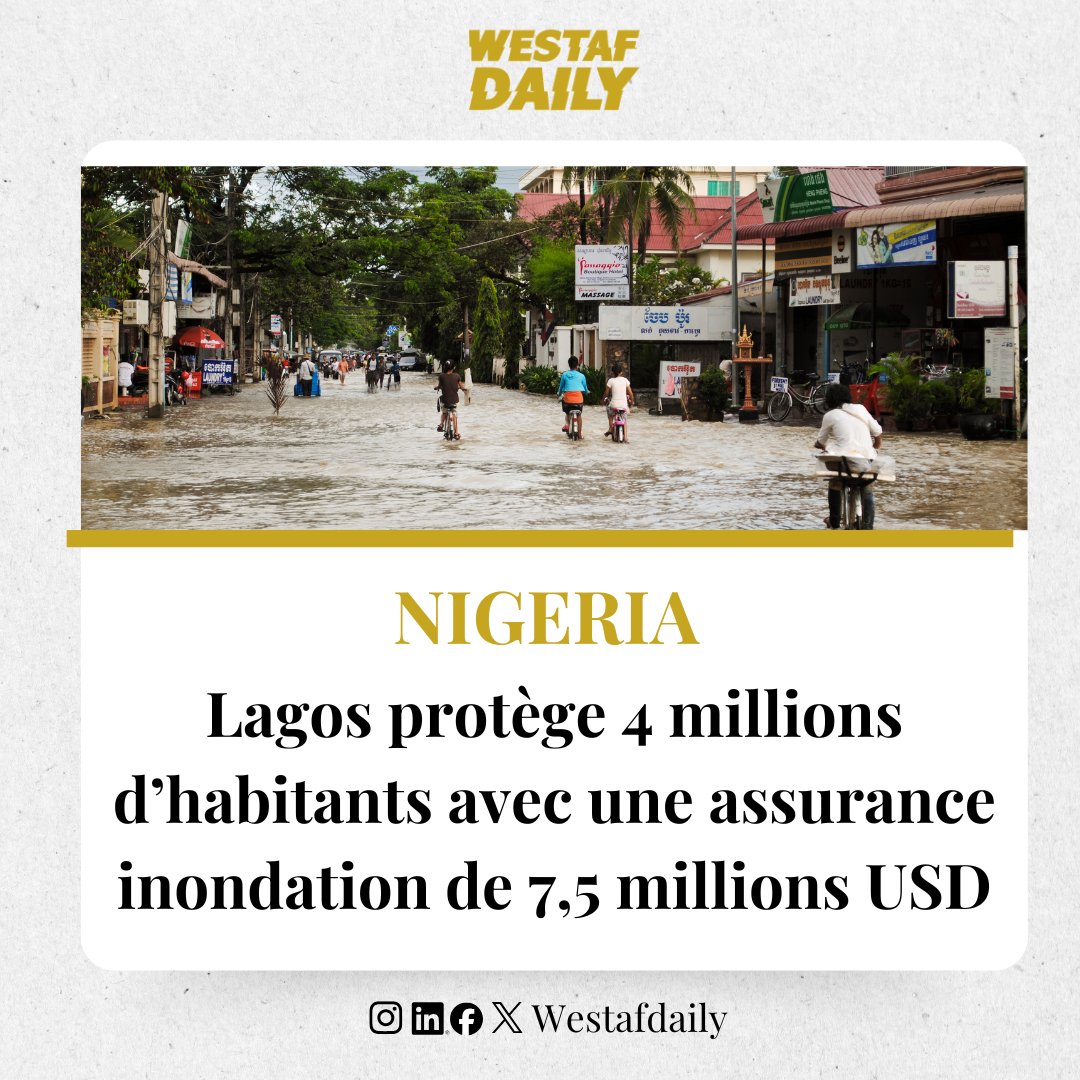 Westaf Daily tweet media