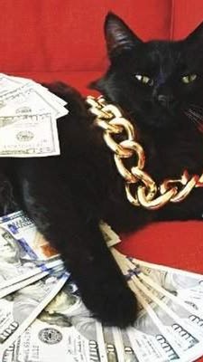 Todd Craig tweet media