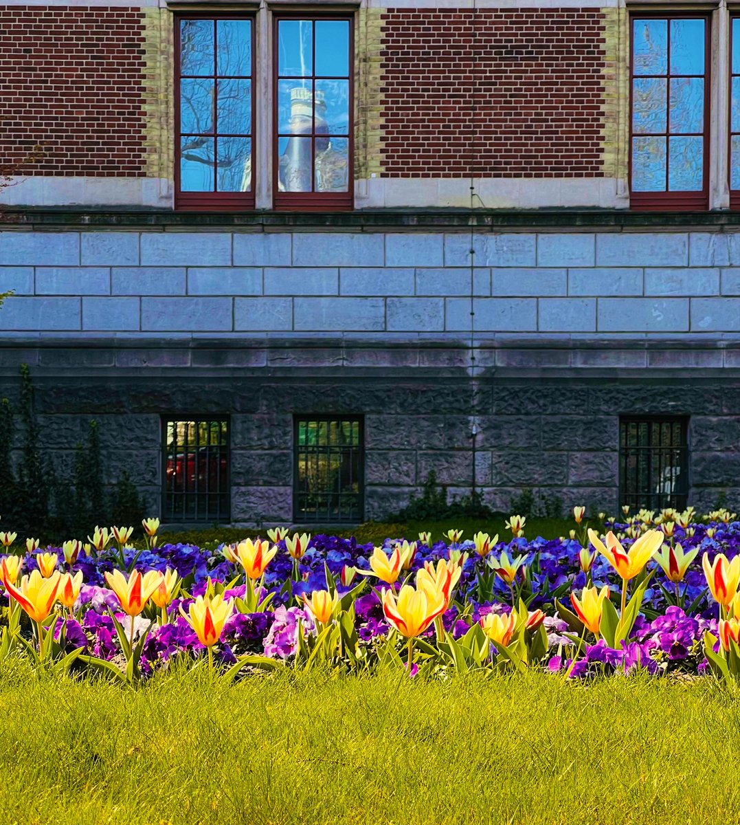 Rachelle tweet media