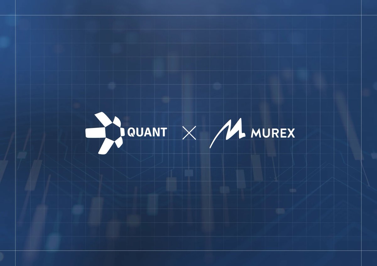 Keez.qnt tweet media