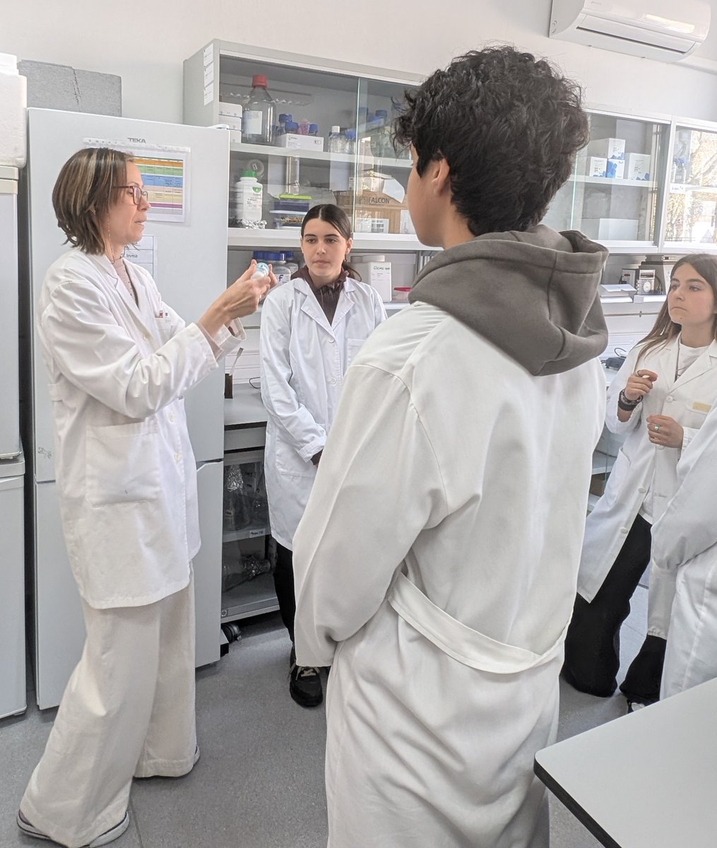 Instituto de Química Física Blas Cabrera tweet media