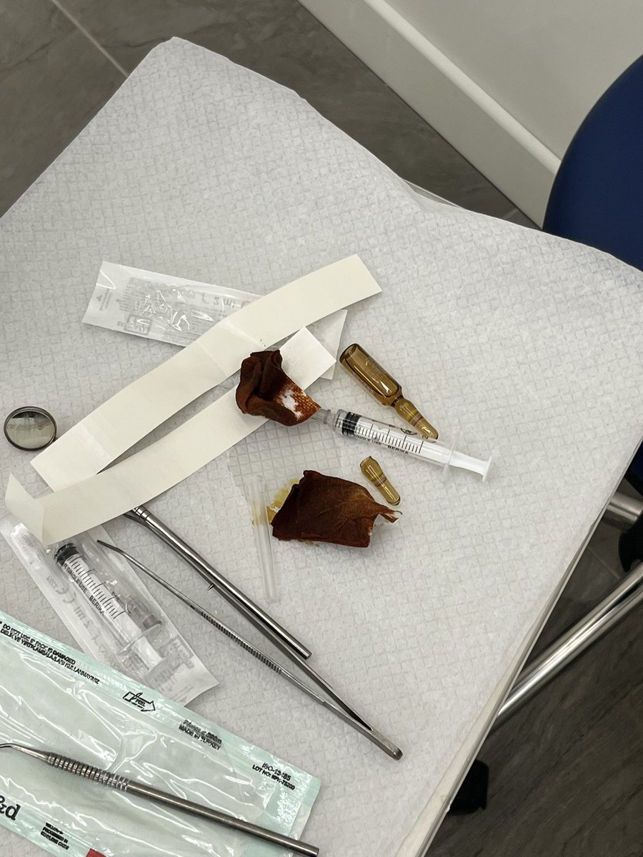 Lumbuz (Gametofobi,Pistantrofobi) tweet media