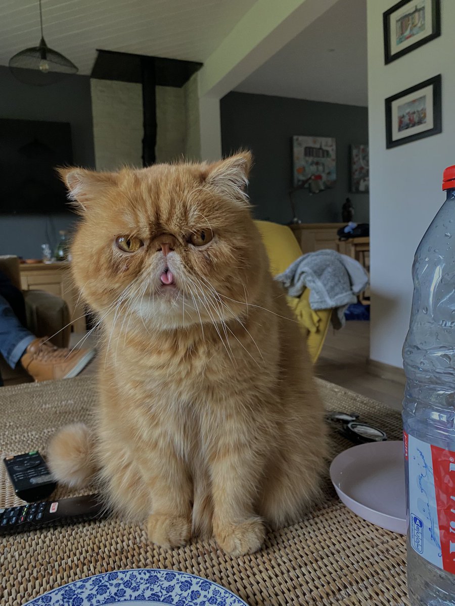 Azélie ≠ ꩜ tweet media