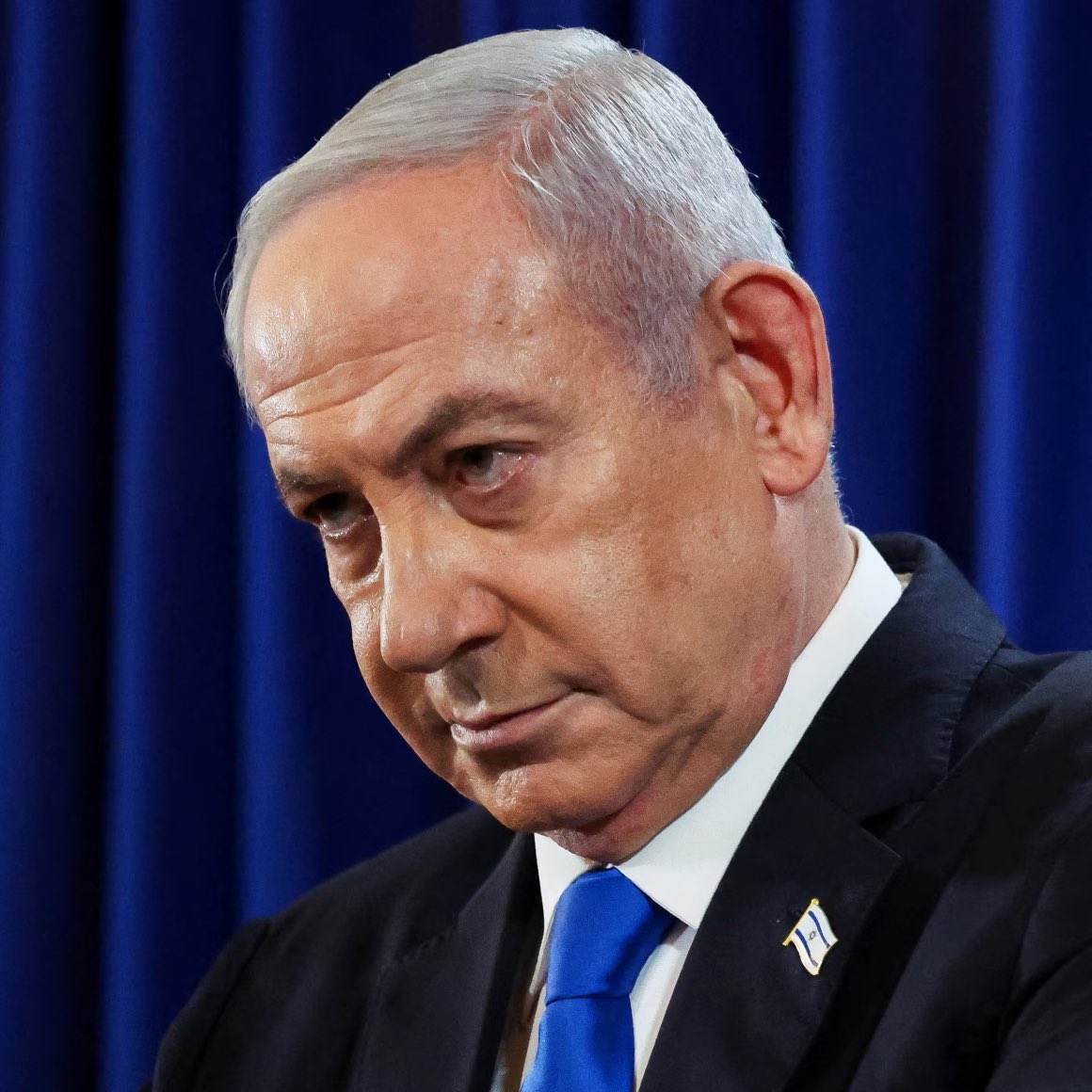 Whale Insider tweet media