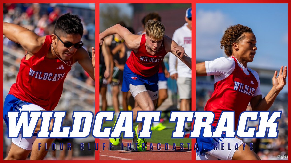 G-P Wildcat Athletics tweet media