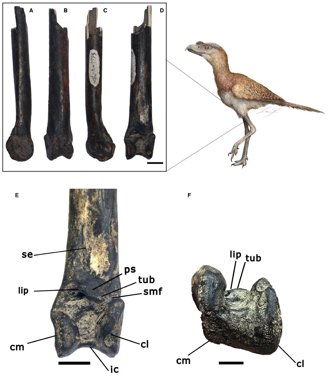 EDGE Central tweet media