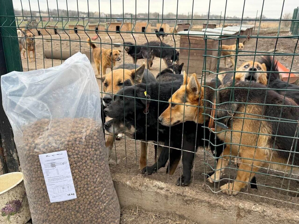 Karen Soeters tweet media