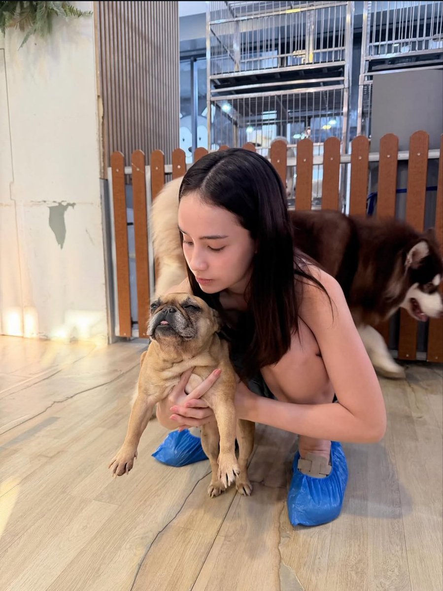 bambam_🦙🐒🦋🐻🌻 tweet media