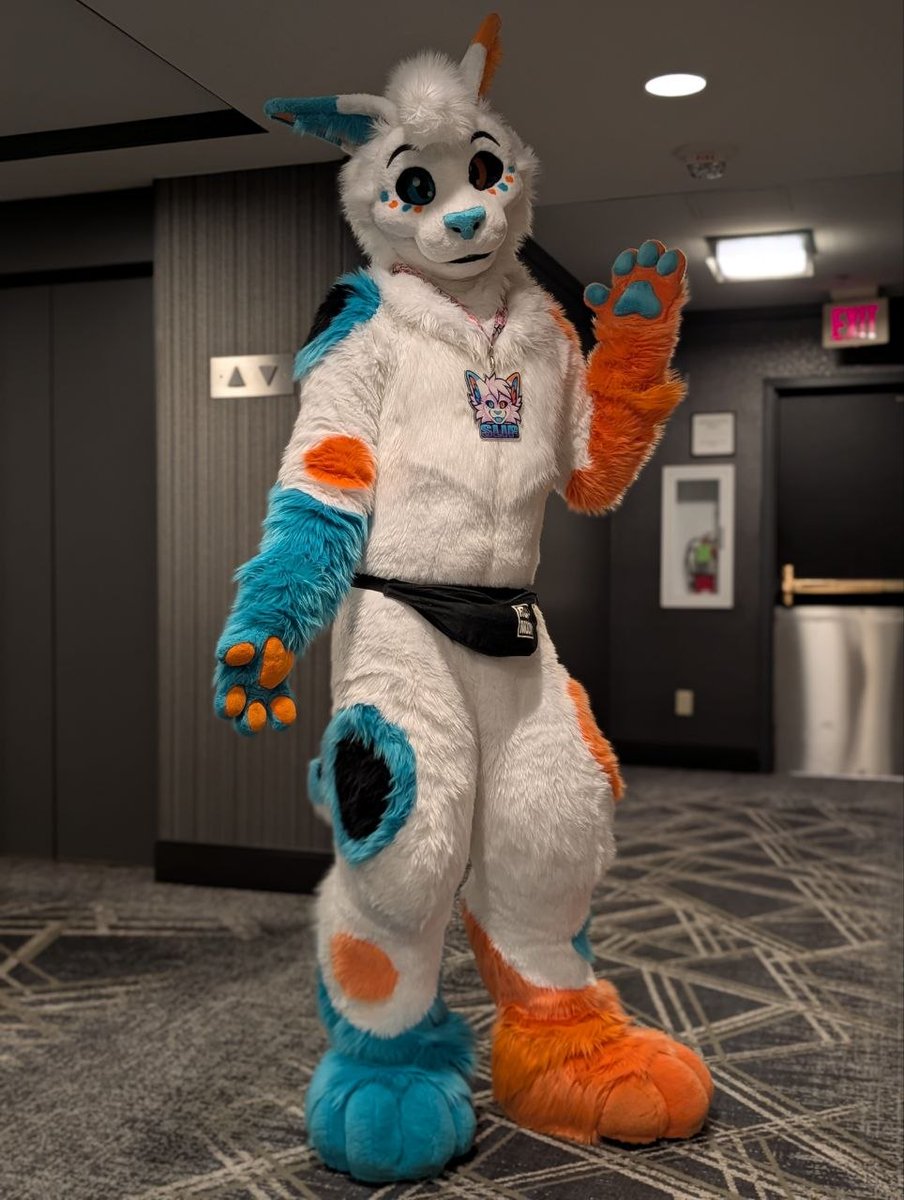 🩵 Slip the Cabbit 🧡 @ TFF tweet media