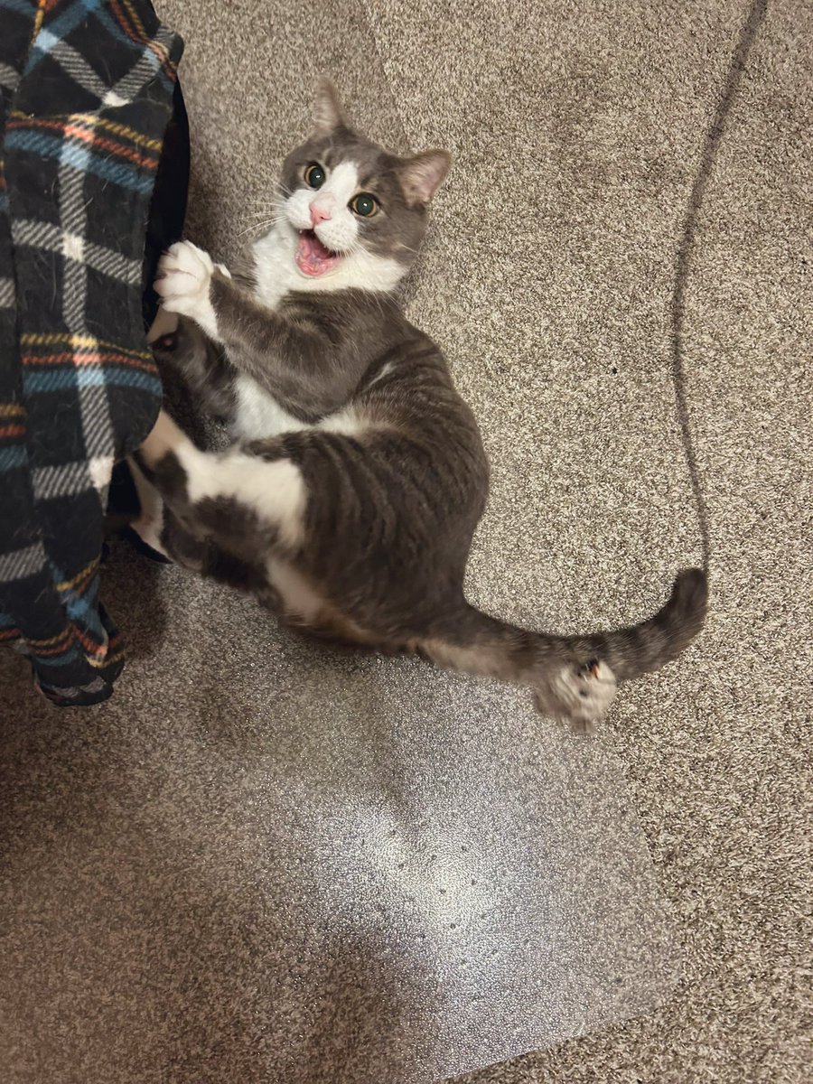 TemTravel tweet media