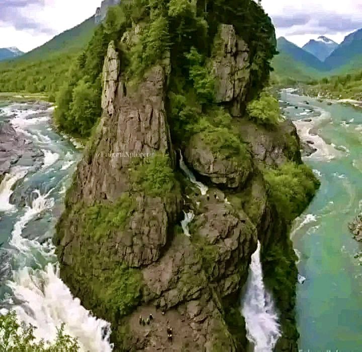 Man_of_ the_People 🐐 tweet media