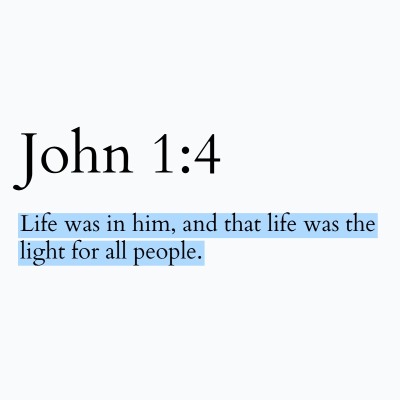 Holy Bible tweet media