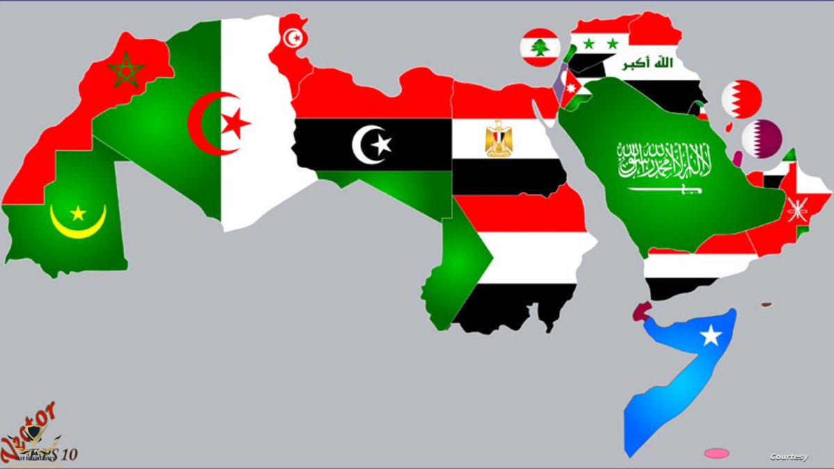 フットボール tweet media