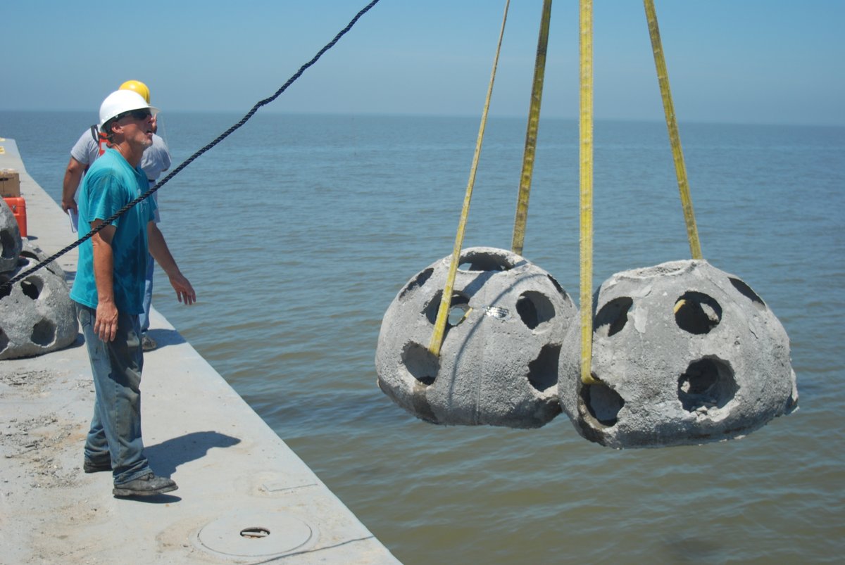 Louisiana Sea Grant tweet media