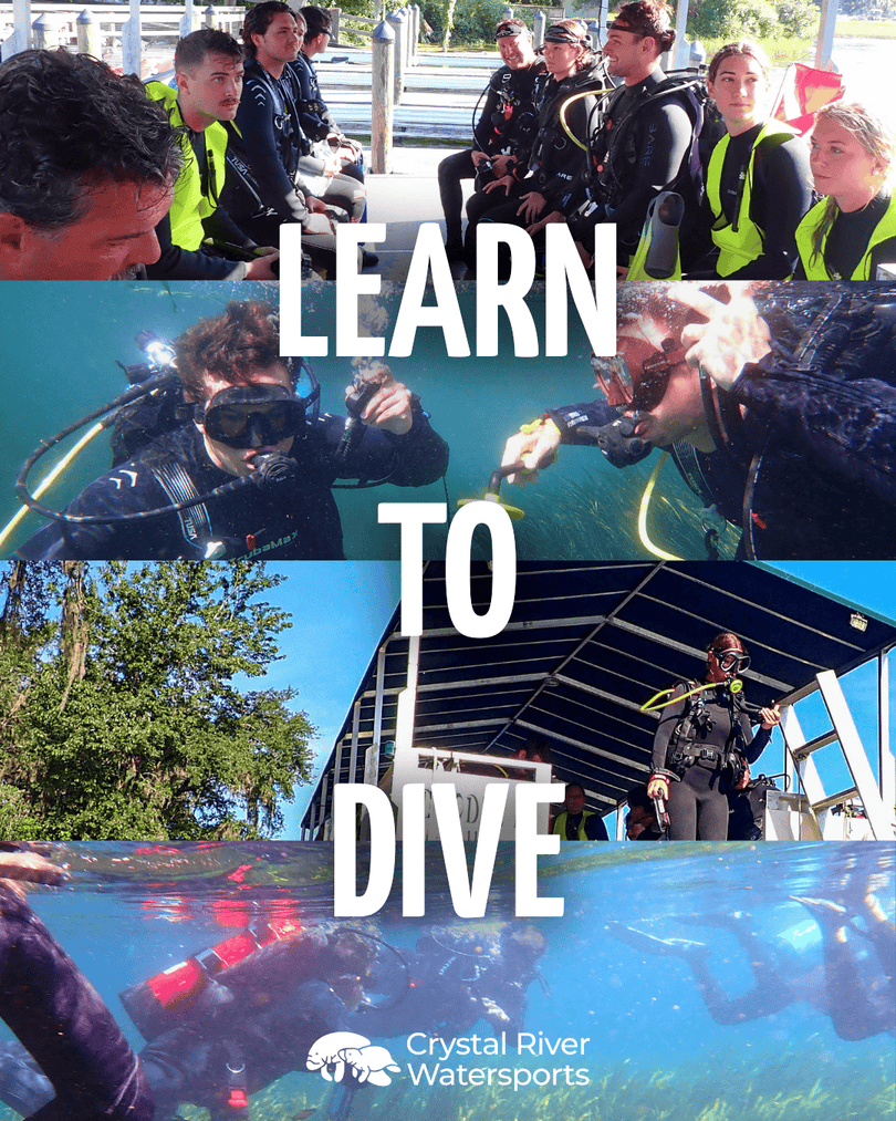 CRW_Florida's tweet image. Take the plunge and earn your scuba certification with Crystal River Watersports. Our instructors make learning safe, fun, and confidence‑building from your first breath underwater to your final checkout dive.

#CertifiedDiver #DiveIn #FloridaBucketList #ScubaDiving