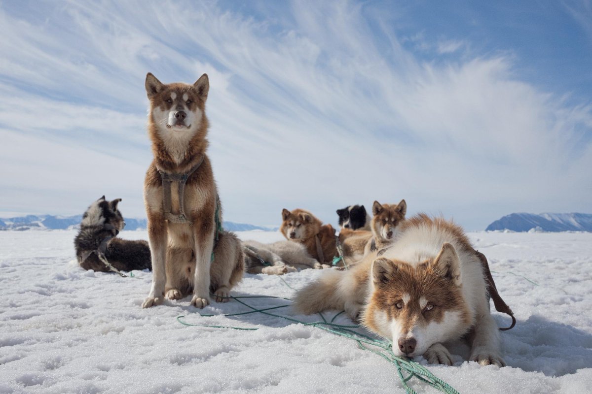 Science Museum tweet media