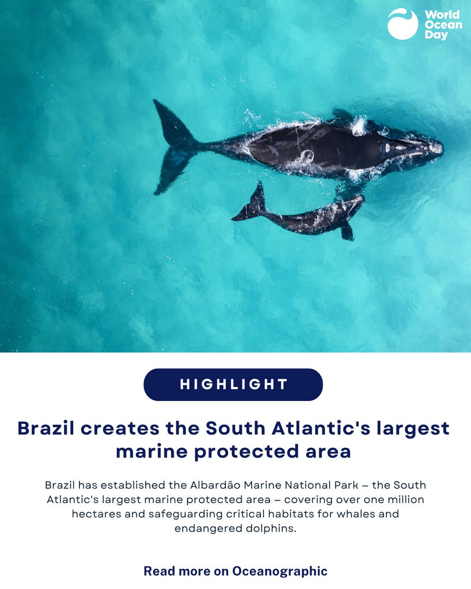 World Ocean Day tweet media