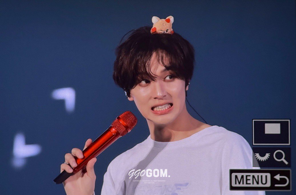 꼬곰이 tweet media