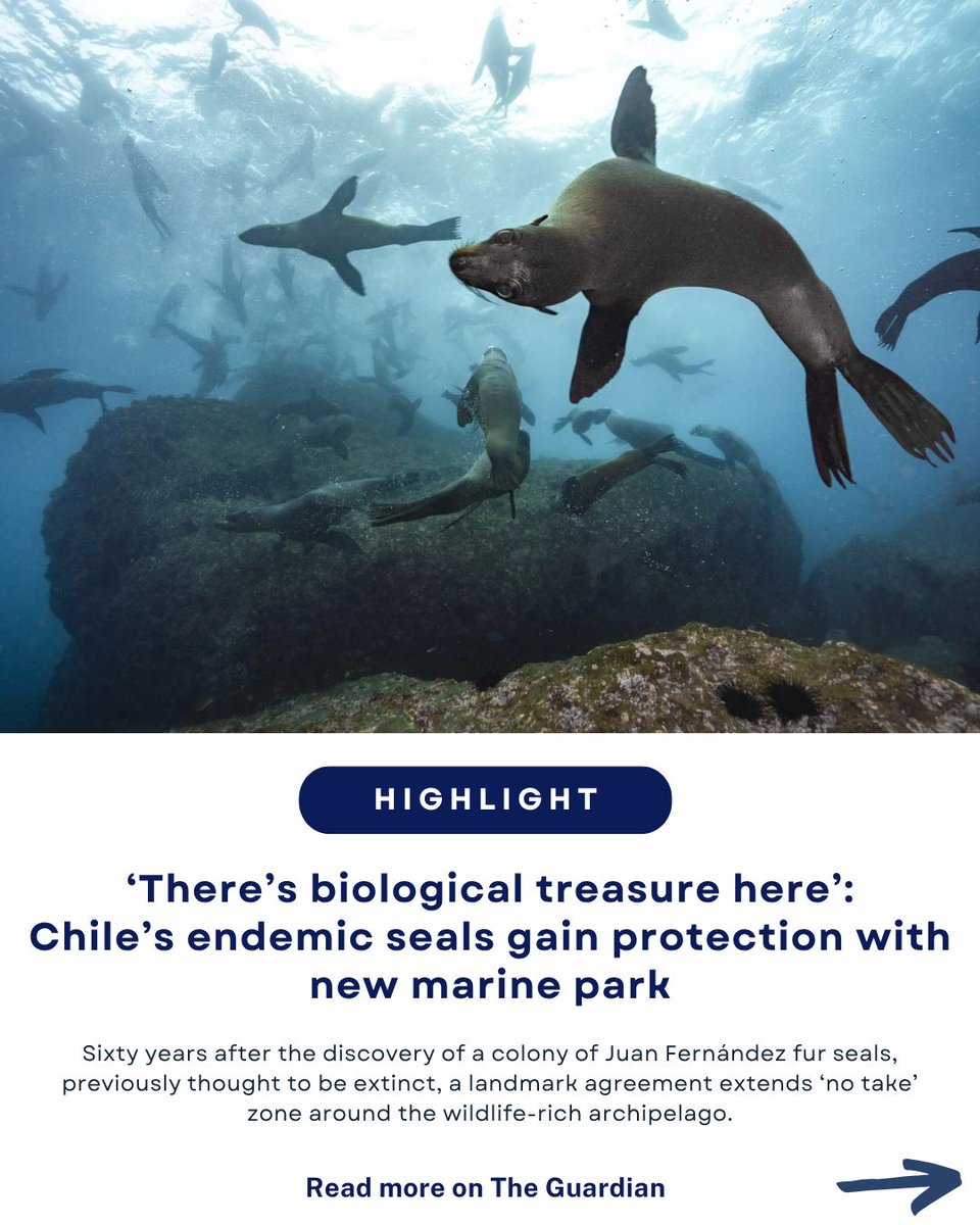 World Ocean Day tweet media