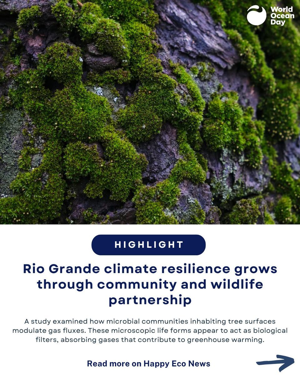 World Ocean Day tweet media