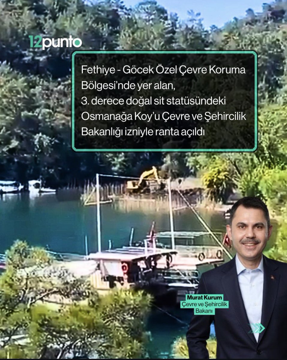 Prof. Dr. Bengi BAŞER tweet media