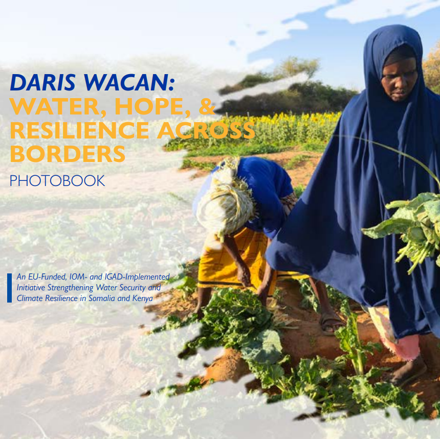 IOM - UN Migration 🇺🇳 tweet media