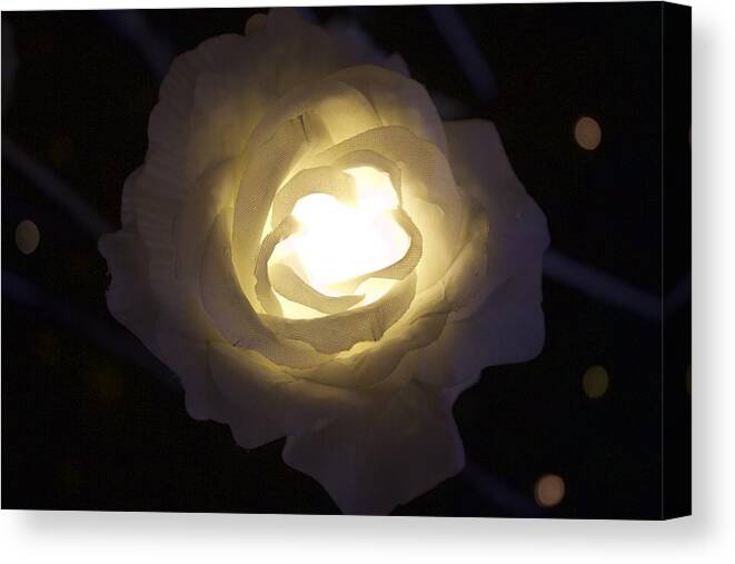 Ydania Ogando tweet media