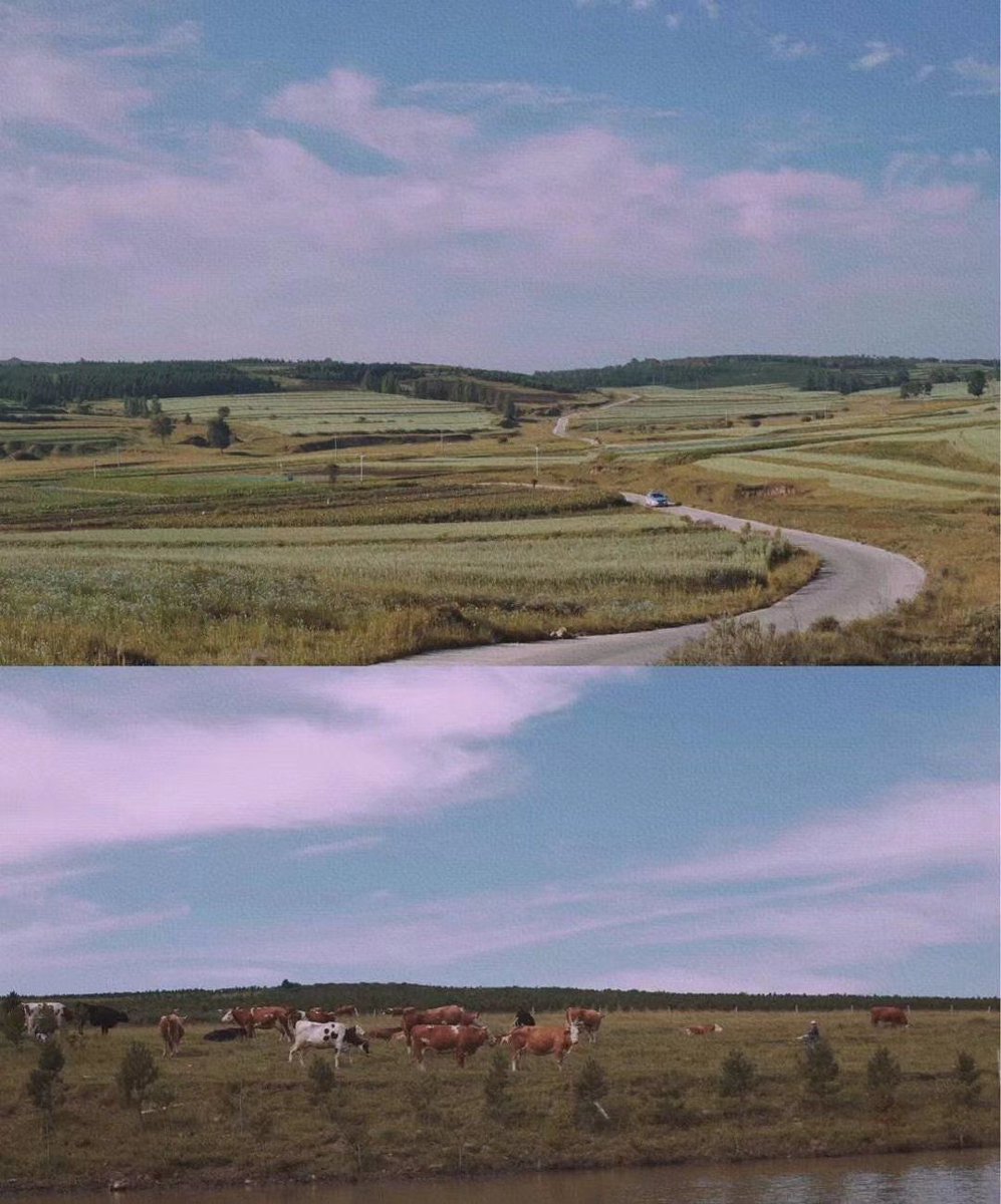 Cindie Gonzalez tweet media