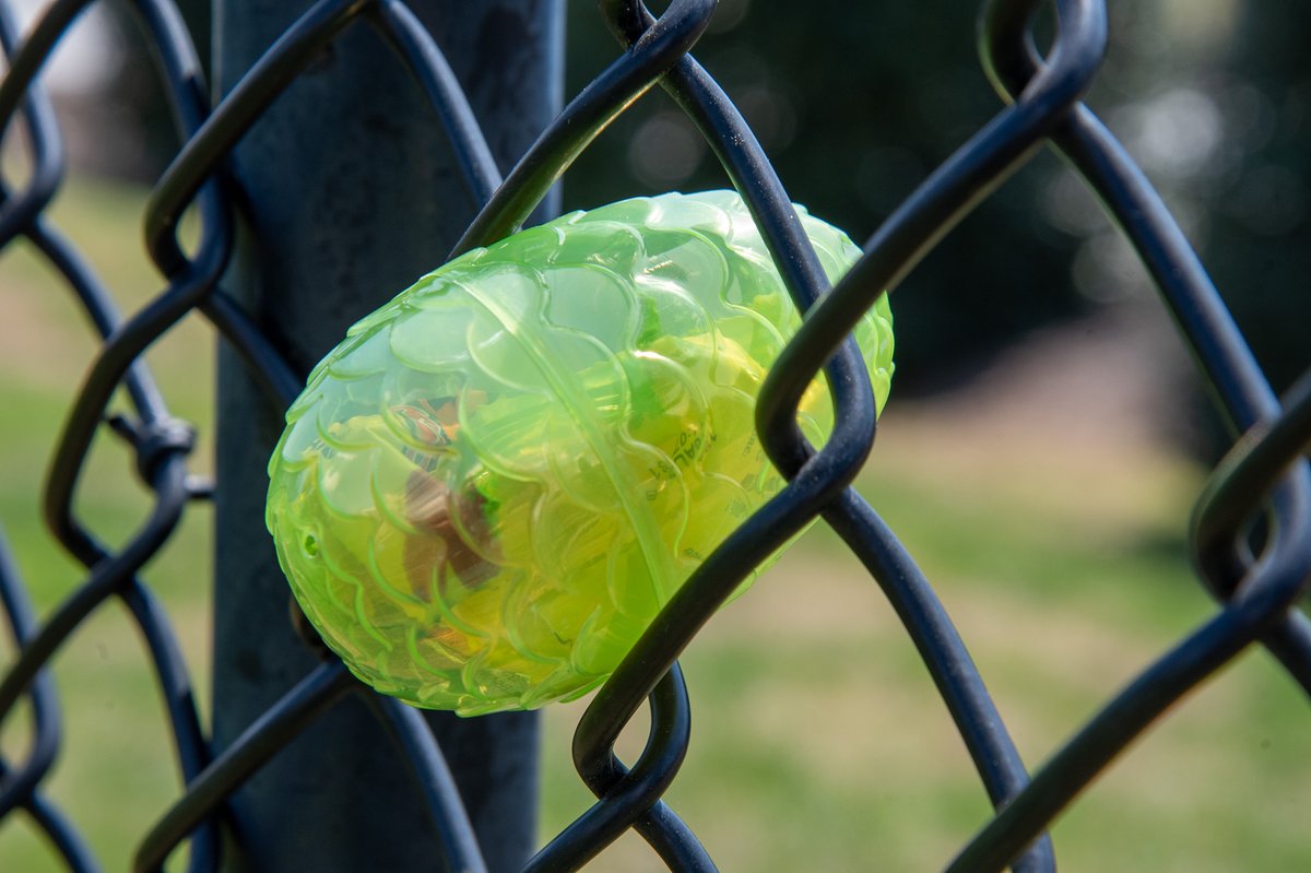 TallulahFallsSchool tweet media