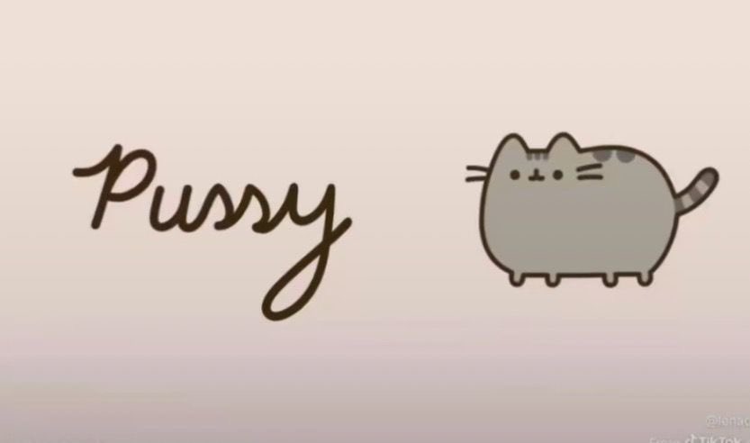 lula /•᷅‎‎•᷄\੭ tweet media