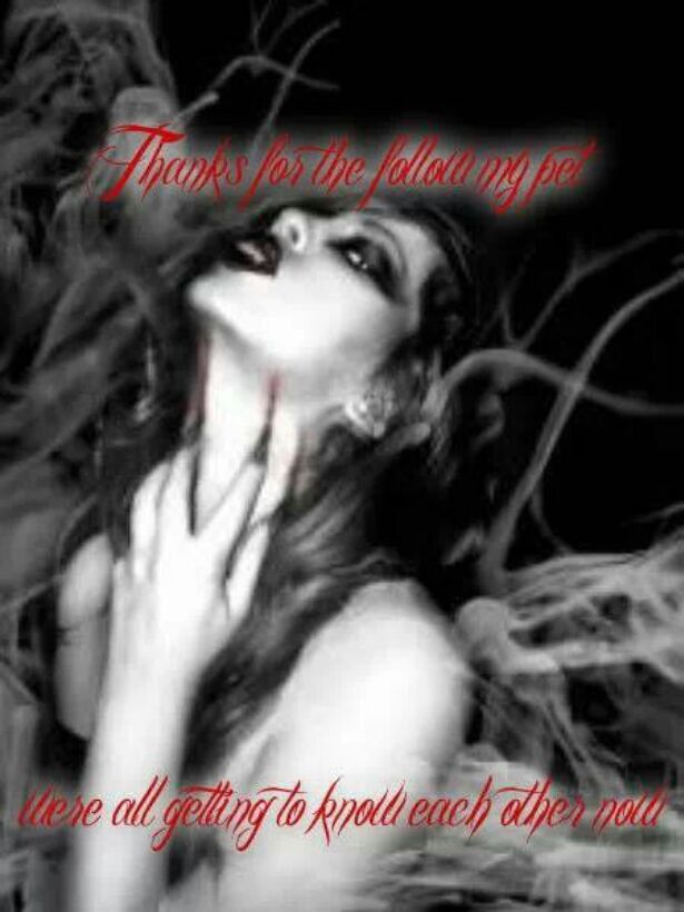 Vampiresangellv tweet media