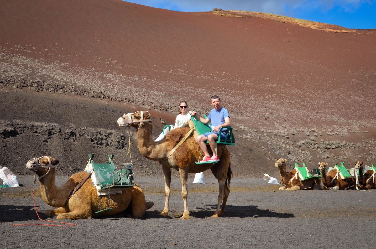 Spain in USA tweet media