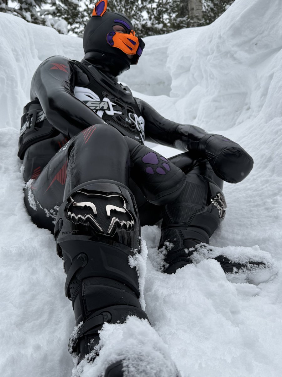 PupPJ1's tweet photo. Puppy in his kinkdom of snow https://t.co/nBTANSuTLZ