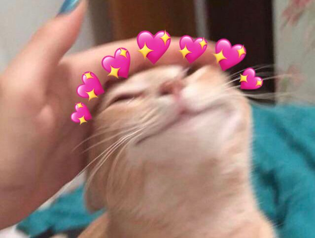 howcupid🪽💗 tweet media