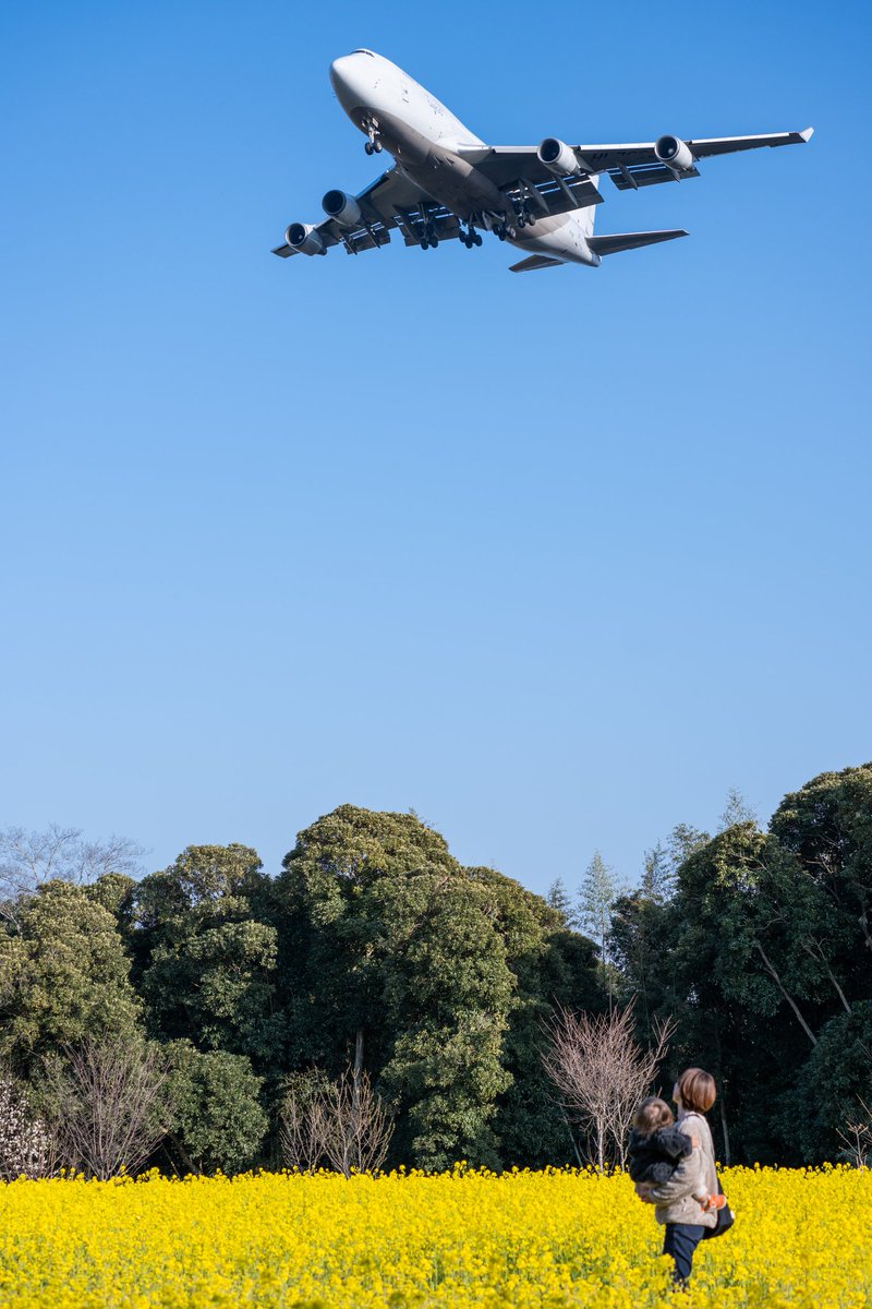 bluesunsetdark's tweet photo. 飛び立つ先に
￠￠￠
たっくさん
飛行機見れたね
#空の駅風和里しばやま
#グリーンポートエコアグリパーク
@restaurant.fuwari
#nikoncreators_2025sparkling
#らぶちば14に応募　#photoplusme
広く温かく深く https://t.co/H5eB4DdZoe