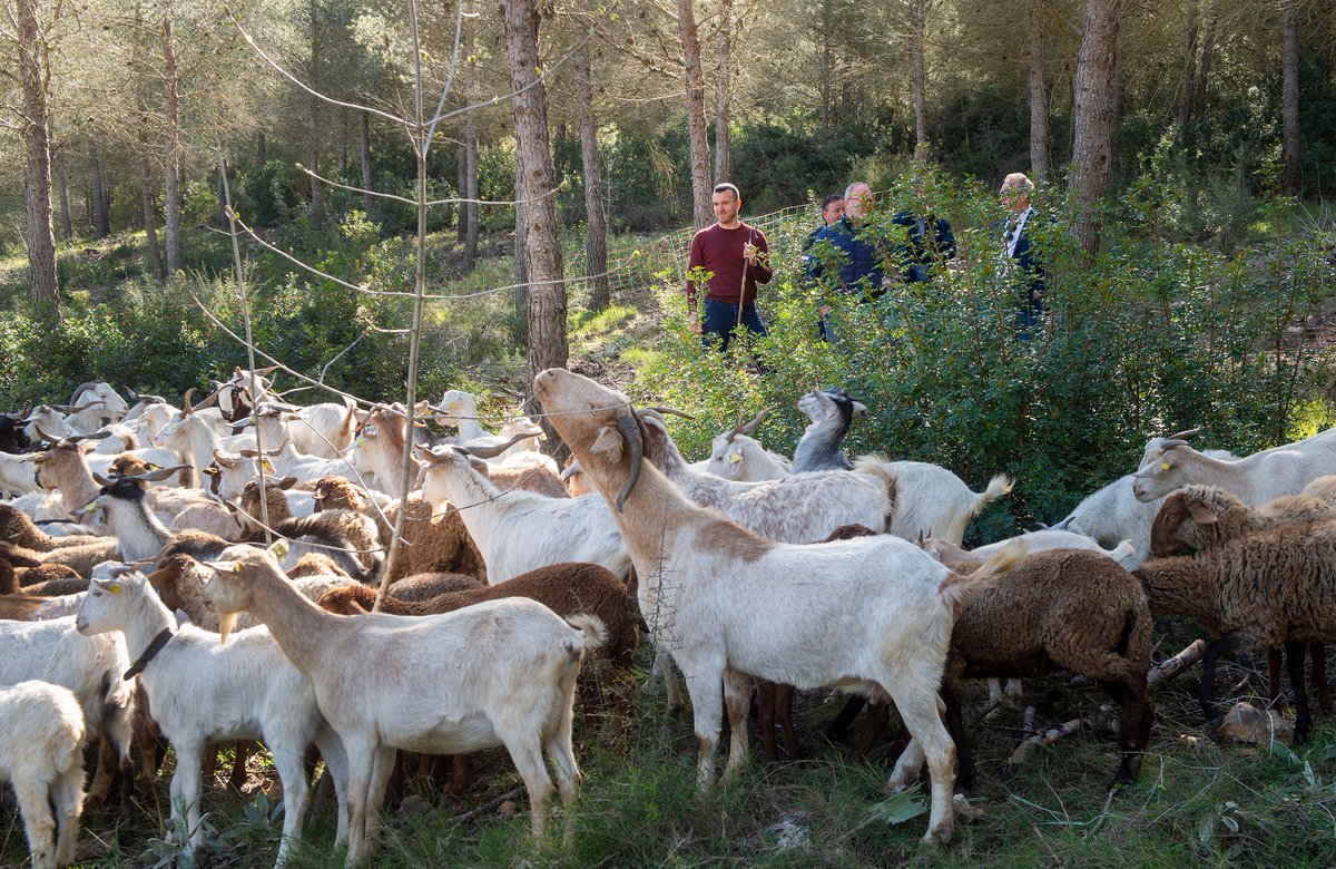 Diputació de València tweet media