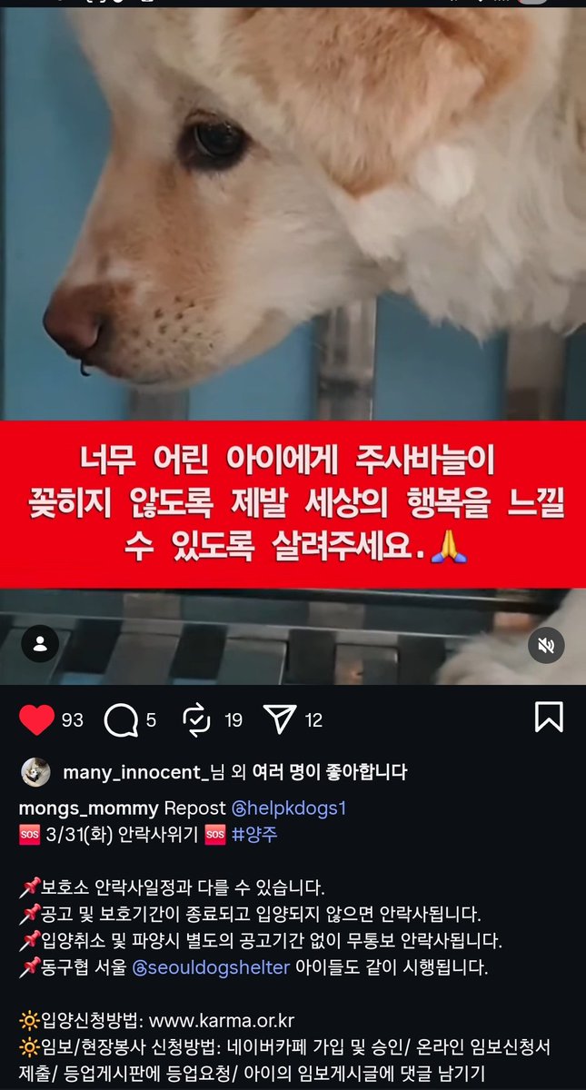 신하🐶영이 tweet media