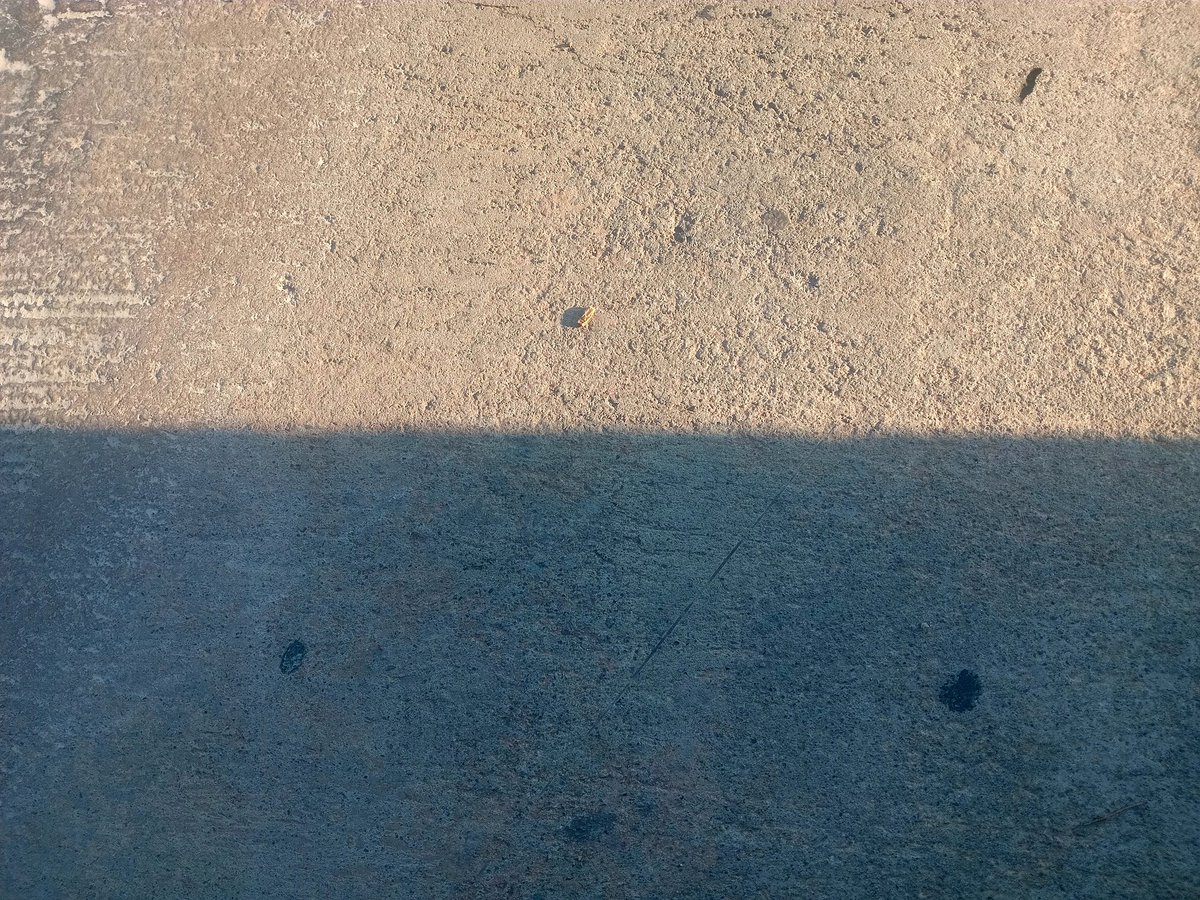 🇿🇦 tweet media