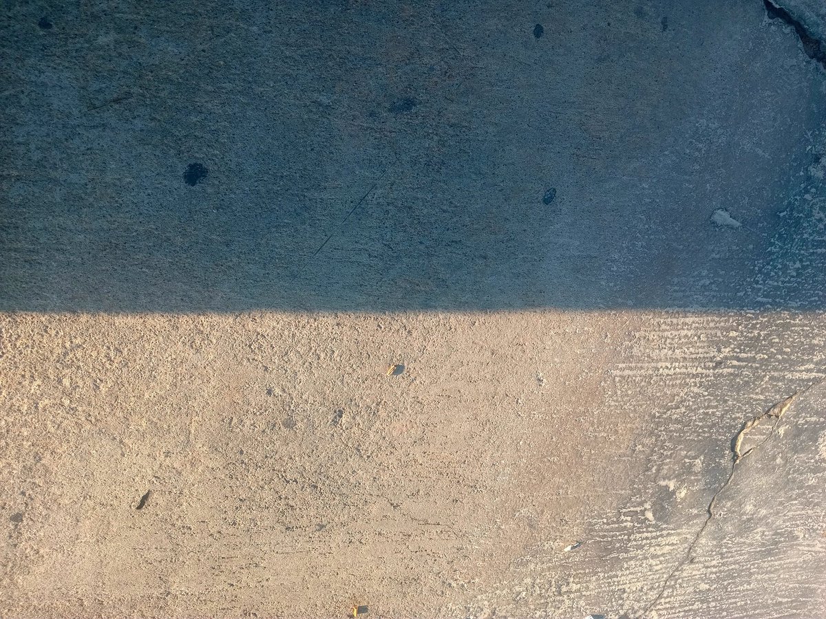 🇿🇦 tweet media