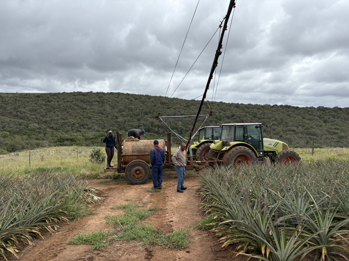 Yours truly tweet media