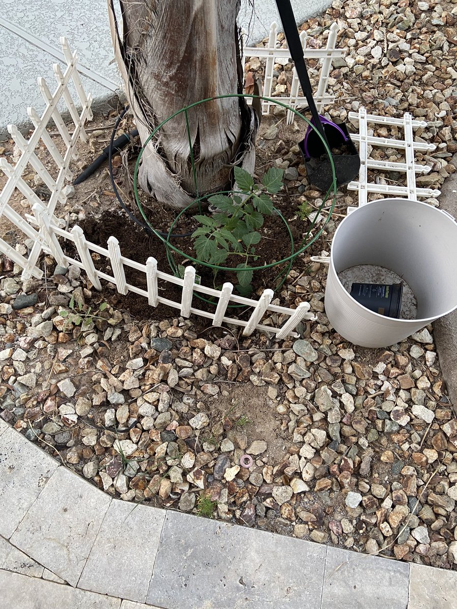 Just Horsing Around tweet media