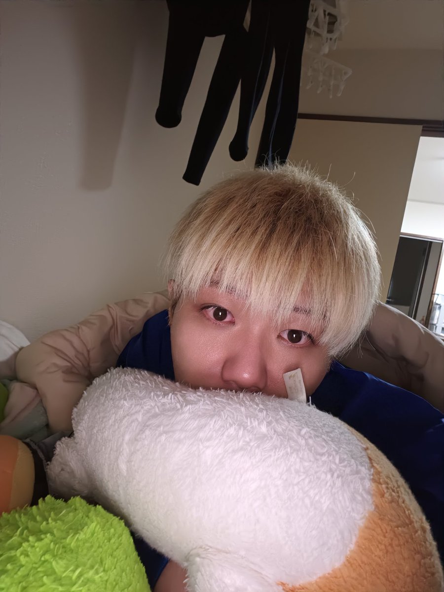 爽斗🦭 tweet media