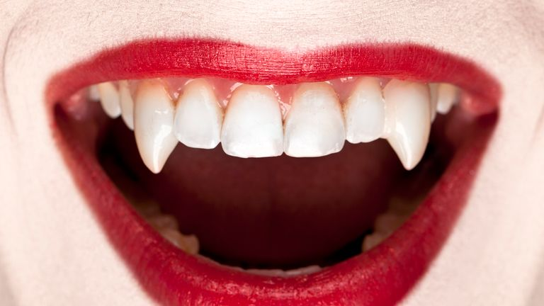 Deb's Q-Tarded Garbage tweet media