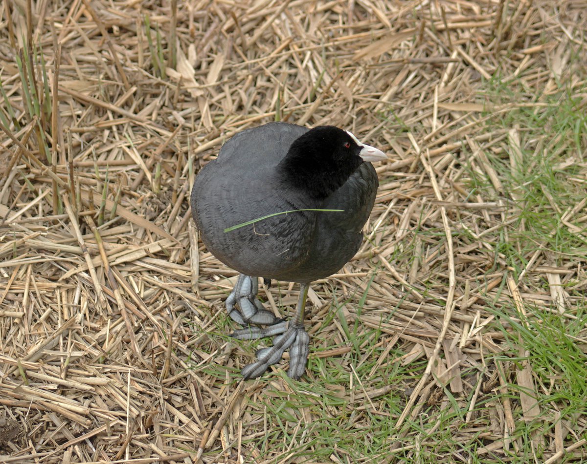 Morvien Lloyd tweet media